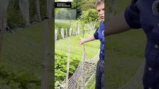 Swales in a Permaculture Garden  Rehydrating a Dry Fruit Bed permaculturedesign [upl. by Rossi]