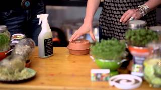 Learning How To Sprout and Micro Green [upl. by Anitroc]