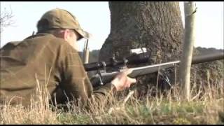 Chinese water deer stalking in Bedfordshire [upl. by Hackathorn663]