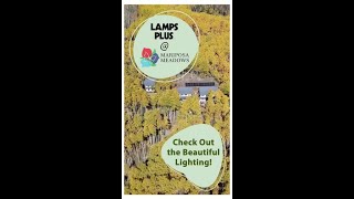 LampsPlus at VISION House Mariposa Meadows [upl. by Holmann]