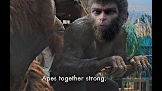 Apes together stronk  Black Myth Wukong 4 [upl. by Nnylav]