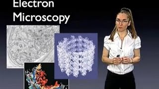 Eva Nogales UC Berkeley Introduction to Electron Microscopy [upl. by Dinnage]