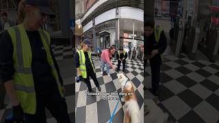 Interactions with my dog doglover husky youtubeshorts shorts instagram viral [upl. by Salazar941]