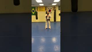 Tang Soo Do  Basic Form 3 [upl. by Toddy270]