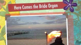 Here Comes the Bride Organ [upl. by Bridges845]