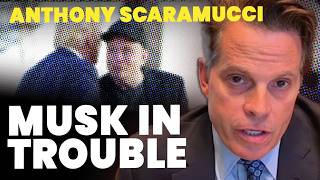 Anthony Scaramucci Trump will unleash hell on Elon Musk ‘in a matter of time’ [upl. by Asirak]