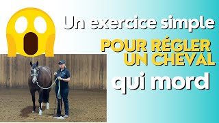 quotComment réagir face à un cheval qui mord et envahit votre espacequot [upl. by Dietz]