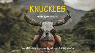 knuckles ගග උඩ පතනේ වන අලී සමගින් ගතකල රාත්‍රීය [upl. by Akenom]