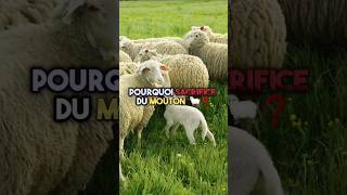 pourquoi les musulmans fontils le sacrifice dun mouton 🐑❓allah islam islamrappel aïdelkebir [upl. by Lamoureux569]