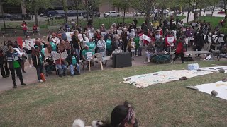 Texans take to the streets of Downtown Dallas in protest of Senate Bill 4 [upl. by Florette32]