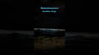 Bioluminescence📍palavakkam Beach Bioluminescence experience automan videos vlogs travel love [upl. by Ulland]