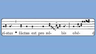 Christus Factus Est Holy Thursday Antiphon [upl. by Jolee]