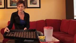 How to Start Onion Seeds Indoors in Peat Pellets [upl. by Allison]