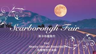 斯卡布羅集市 Scarborough Fair 吉他演奏 [upl. by Meehyrb]