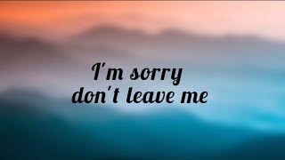 SLANDERIm sorry dont leave me i want here with me lyrics Love is gone [upl. by Ecinom]