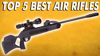 Best Air Rifles  Top 5 Most Powerful Air Rifles 2023 [upl. by Akirre]