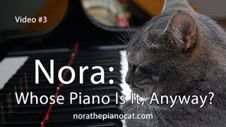 Nora The Piano Cat Whose Piano Is It Anyway [upl. by Salahcin]