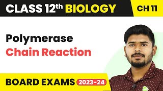 Polymerase Chain Reaction  Biotechnology Principles and Processes  Class 12 Biology 202223 [upl. by Enitsirhk]