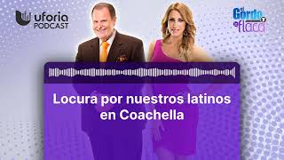 Locura por nuestros latinos en Coachella  El Gordo y La Flaca [upl. by Bearnard]