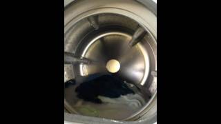 Maytag Neptune washing machine Rinse with door open [upl. by Elletse]