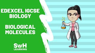 Biological Molecules  Edexcel IGCSE Biology  Includes Exam Questions amp Answers [upl. by Kwon608]