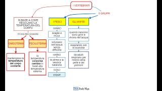videomappa  scienze  11 1 gli animali i vertebrati 5 gruppi [upl. by Asirahc871]