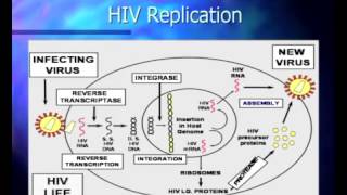 Basic Course in HIV  Pathophysiology and Natural History of HIV Infection [upl. by Aciret407]