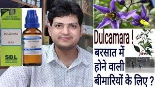 Dulcamara  Homeopathic Medicine Dulcamara  for Diseases of rainy season amp Damp Weather [upl. by Kacy]