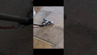 Clean cut 🤯 carpetextraction relaxingcarpetcleaning sleepaid [upl. by Steddman]