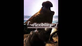 Southern elephant seal vs Arctotherium angustidens edit battle animals whoisstrongest [upl. by Lolanthe]