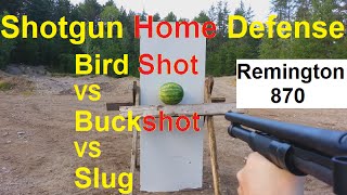 BIRD SHOT IS BEST Home Defense MUST WATCH [upl. by Ellehcsar]