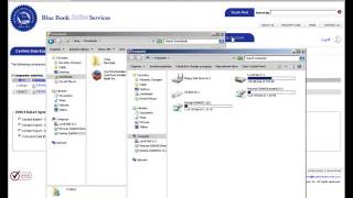 Blue Book Import Simplified Software [upl. by Skolnik]