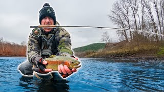 Winter River Trout Fishing the Taneycomo [upl. by Deonne670]