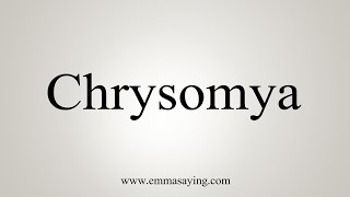 How To Say Chrysomya [upl. by Adnamar]