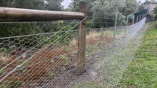 Constructing a heavy mesh chicken wire dog and rabbit proof fence [upl. by Eimar]