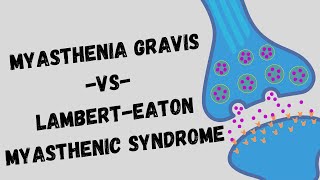 Myasthenia Gravis VS LambertEaton Myasthenic Syndrome [upl. by Suoivatra]