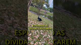 QUANDO QUE CADUCA  monkeyk viralvideo viral [upl. by Yerhpmuh392]