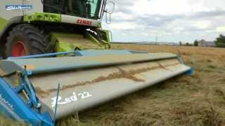 Shelbourne RSD Stripper Headers Harvesting Rice and Ryegrass [upl. by Sower]