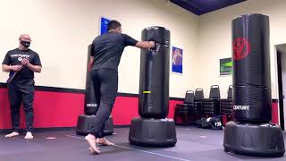 Roundhouse vs Front Kick on a Wavemaster XXL Freestanding Punching Bag [upl. by Frankel]