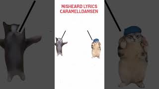 Misheard lyrics Caramelldansen but cats 💀caramelldansen misheardlyrics funny meme cats [upl. by Schonfeld]