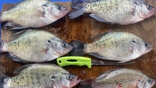 Crappie Fishing Livescope fishing crappie livescope louisiana garmin [upl. by Cristina237]