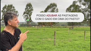 POSSO ADUBAR AS PASTAGENS COM O GADO EM CIMA DO PASTO [upl. by Ymmas]