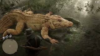 Red Dead Redemption 2 Legendary animals RDR2 Alligator [upl. by Gerg]