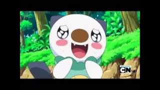 Oshawott is Cute [upl. by Almond]