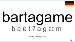 How to pronounce Bartagame German [upl. by Nahtan685]