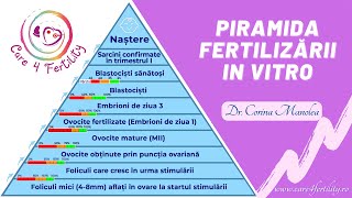 Piramida Fertilizării In Vitro [upl. by Wilser510]