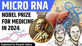 MicroRNA gene regulation What 2024 Nobel Prize for Medicine was awarded for [upl. by Demetrius]