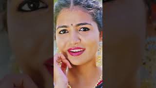 Jellelamma jitta vaadi pellanenaittu Nagadurga folk songs DJ songs [upl. by Ocirrej]