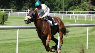 ‘The things dreams are made of’ Moruya Jockey Club hosting Country Championships [upl. by Alyakcm]