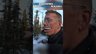 Luke Encounters Wolves While Camping shorts viral [upl. by Ellecrag]